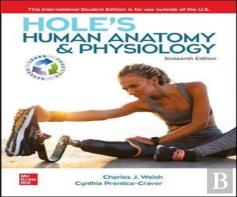 Hole'S Human Anatomy & Physiology Ise