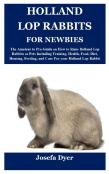Holland Lop Rabbits For Newbies