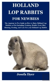 Holland Lop Rabbits For Newbies