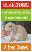 Holland Lop Rabbits