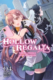 Hollow Regalia, Vol. 4 (Light Novel)