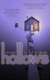 Hollows