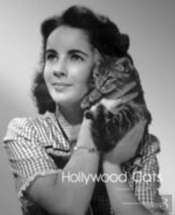 Bertrand.pt - Hollywood Cats