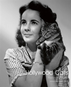 Bertrand.pt - Hollywood Cats