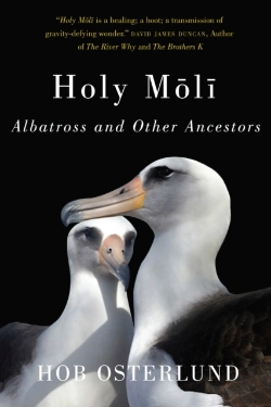 Bertrand.pt - Holy Moli