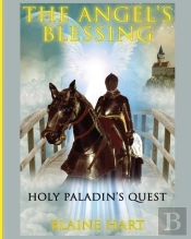 Holy Paladin'S Quest