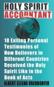 Holy Spirit Accountant
