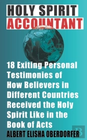 Holy Spirit Accountant