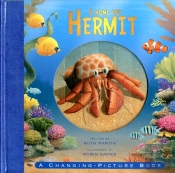 Home For Hermit