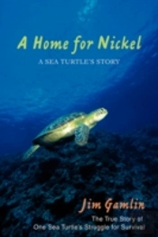 Home For Nickel