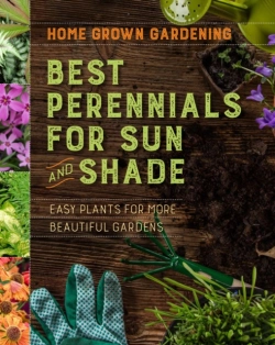 Bertrand.pt - Home Grown Gardening Guide To Best Perennials For Sun And Shade