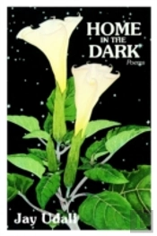 Home In The Dark
