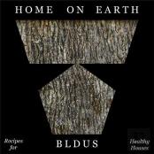 Home On Earth