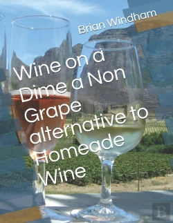 Bertrand.pt - Homeade Wine From Fruit Juice