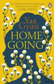 Homegoing