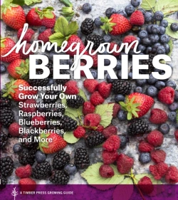 Bertrand.pt - Homegrown Berries