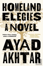 Homeland Elegies