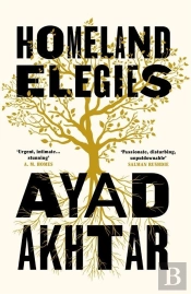 Homeland Elegies