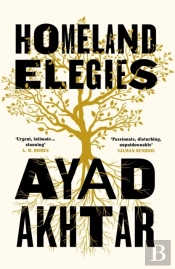 Homeland Elegies