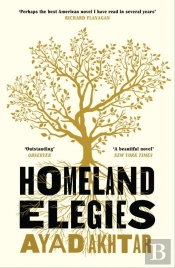 Homeland Elegies