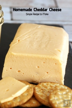 Bertrand.pt - Homemade Cheddar Cheese