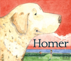 Bertrand.pt - Homer