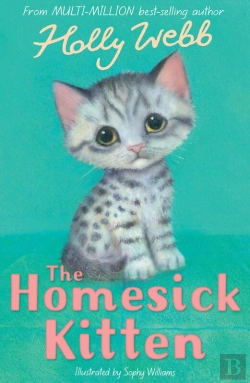 Bertrand.pt - Homesick Kitten