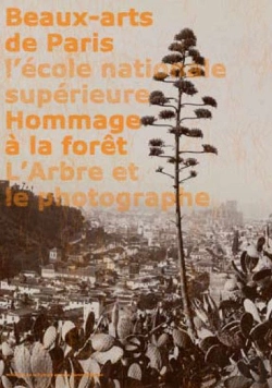 Bertrand.pt - Hommage À La Forêt ; L'Arbre Et Le Photographe
