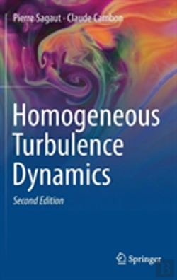 Bertrand.pt - Homogeneous Turbulence Dynamics