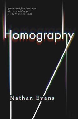 Bertrand.pt - Homography