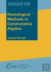 Homological Methods In Commutative Algebra