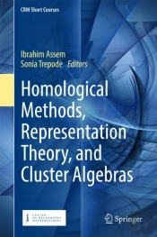 Homological Methods, Representation Theory, And Cluster Algebras