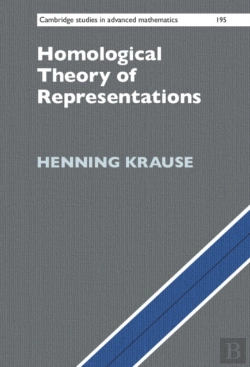 Bertrand.pt - Homological Theory Of Representations