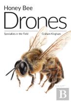 Honey Bee Drones