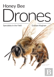 Honey Bee Drones