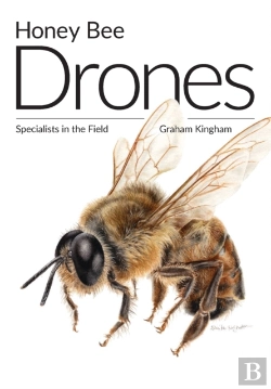 Bertrand.pt - Honey Bee Drones