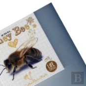 Honey Bee