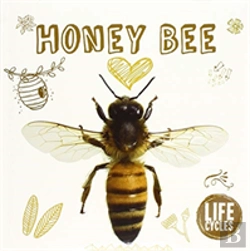 Bertrand.pt - Honey Bee