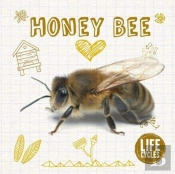 Honey Bee
