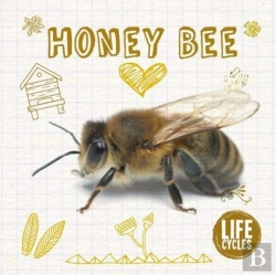 Bertrand.pt - Honey Bee