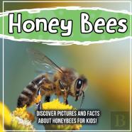 Honey Bees