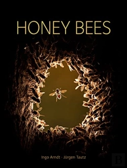 Bertrand.pt - Honey Bees
