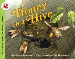 Bertrand.pt - Honey In A Hive