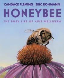 Honeybee