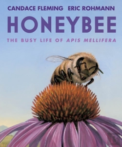Bertrand.pt - Honeybee