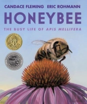 Honeybee