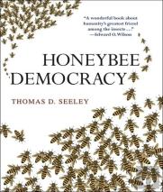 Honeybee Democracy