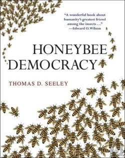 Bertrand.pt - Honeybee Democracy