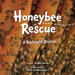 Bertrand.pt - Honeybee Rescue