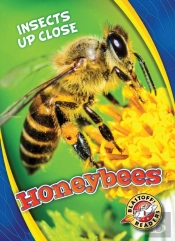 Honeybees